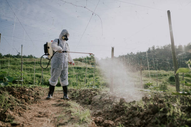Best Mosquito Control Services  in Lavalette, WV